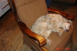 DEER CAMP 2007 009.jpg